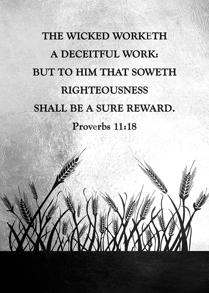 Proverbs 11 18
