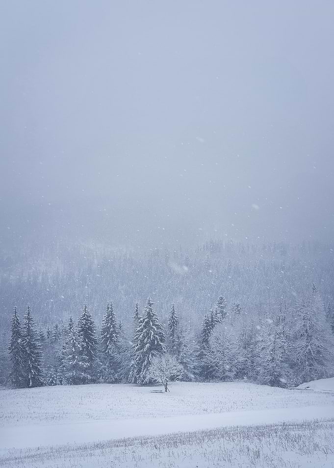 winter snowfall