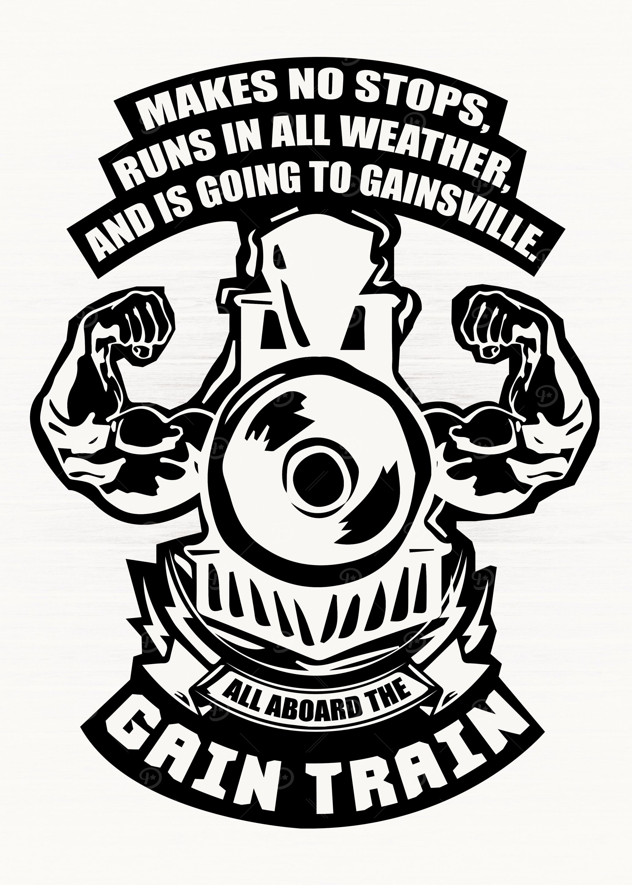 Gain Train