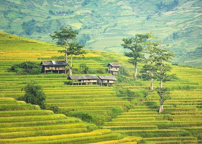 Village in plantation