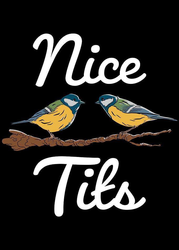 Funny Bird watching Nice