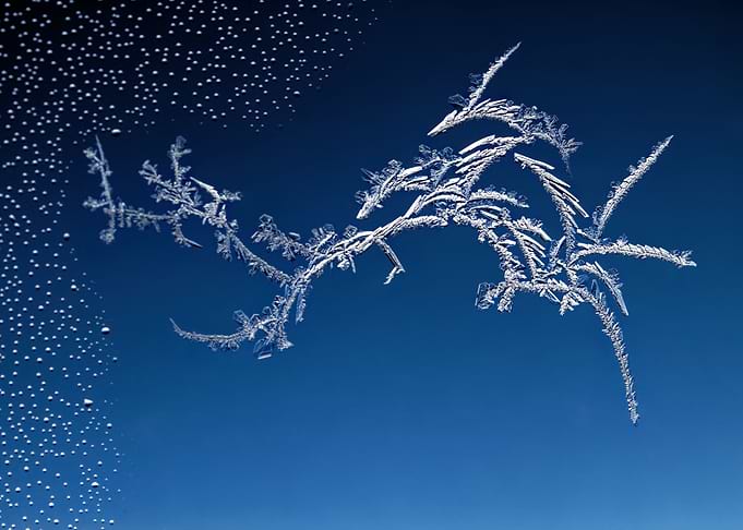 Ice dragon