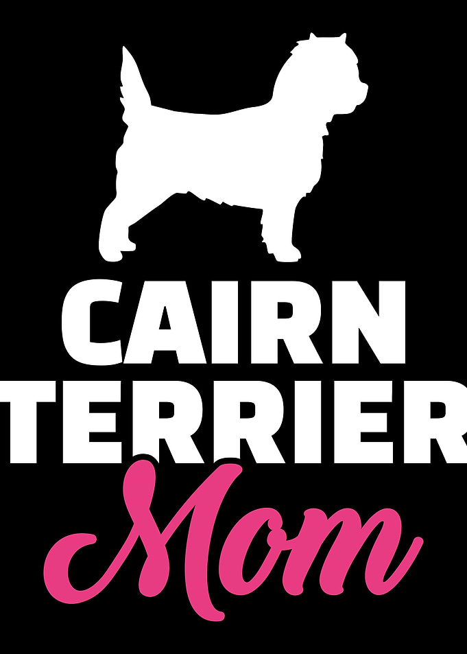 Cairn Terrier