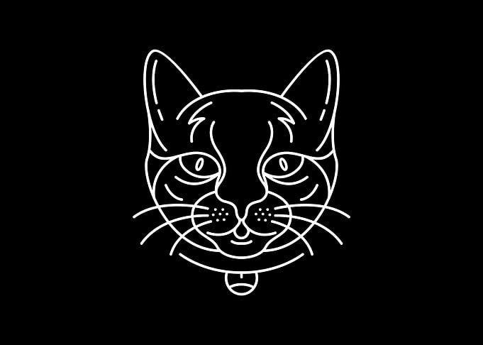 Cat 2