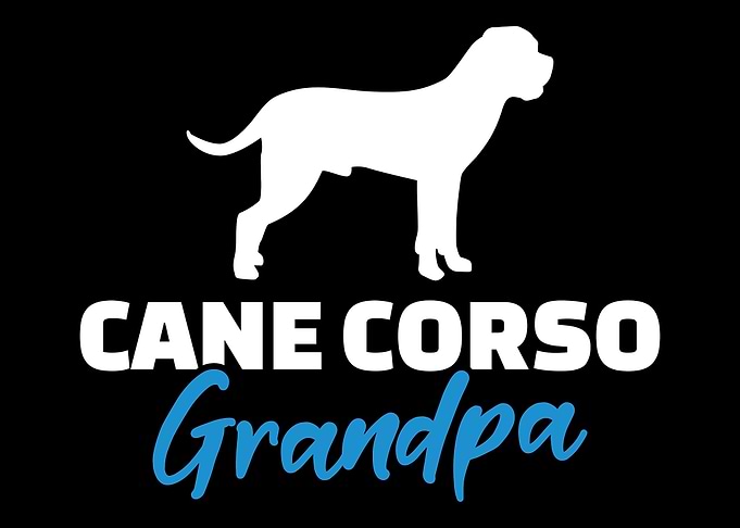 Cane Corso