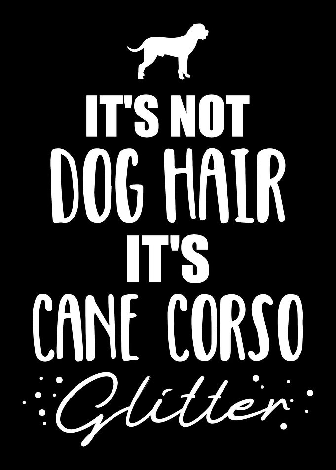 Cane Corso