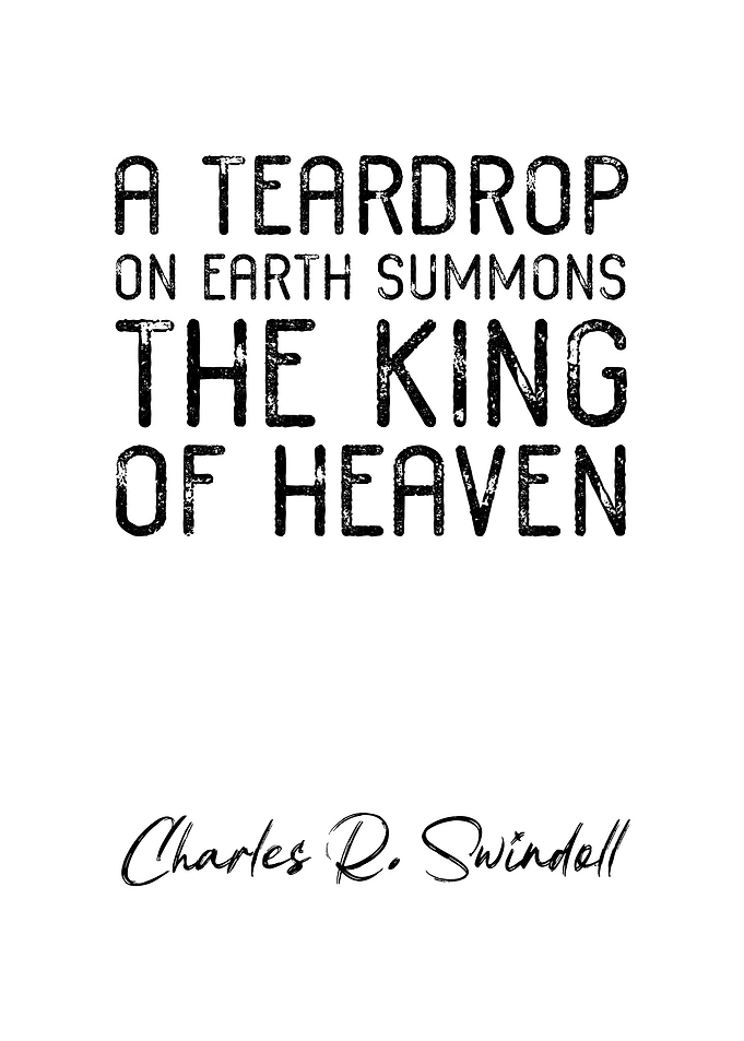 Charles R Swindoll Quote 9