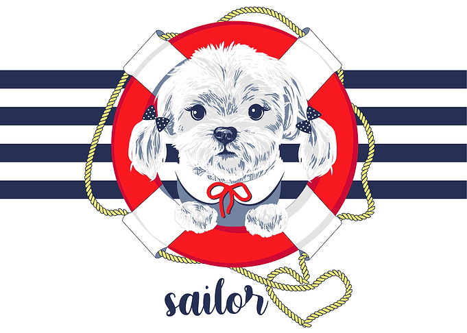 Maltese lapdog
