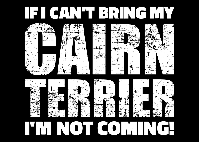 Cairn Terrier