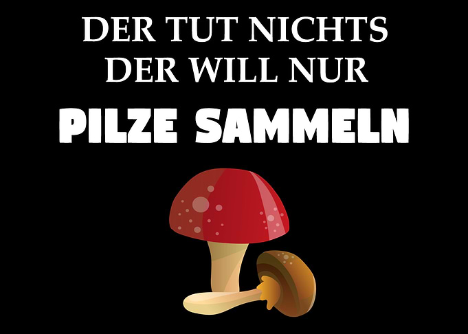 Pilzsammler Pilze sammeln