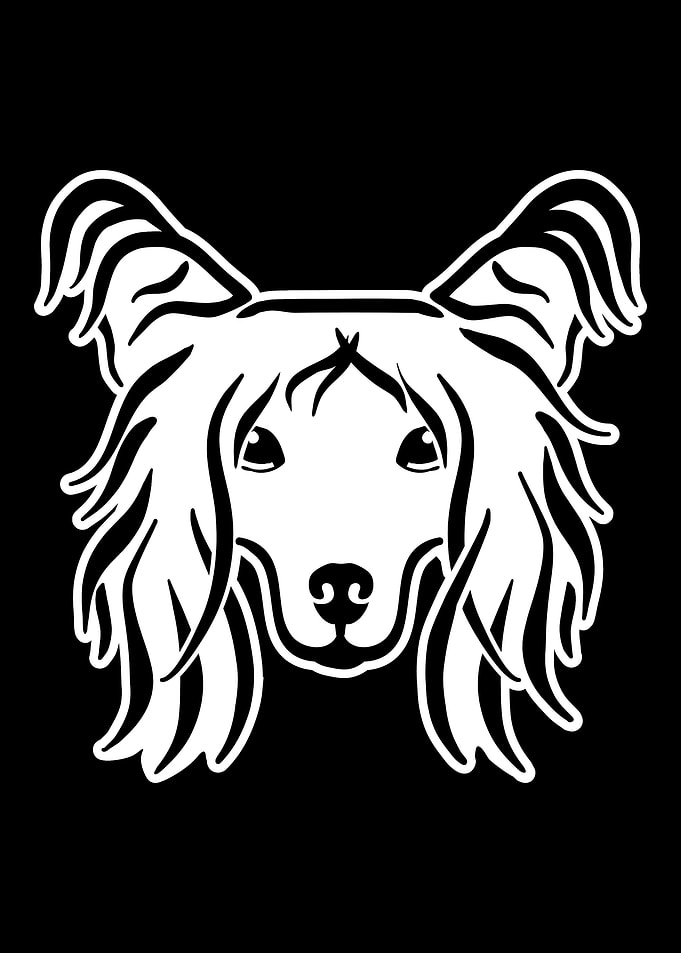 Chinese Crested