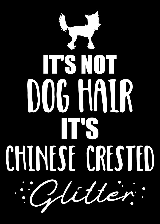 Chinese Crested
