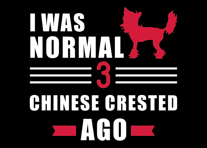 Chinese Crested