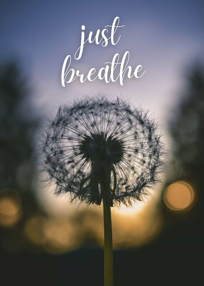 Just Breathe Dandelion