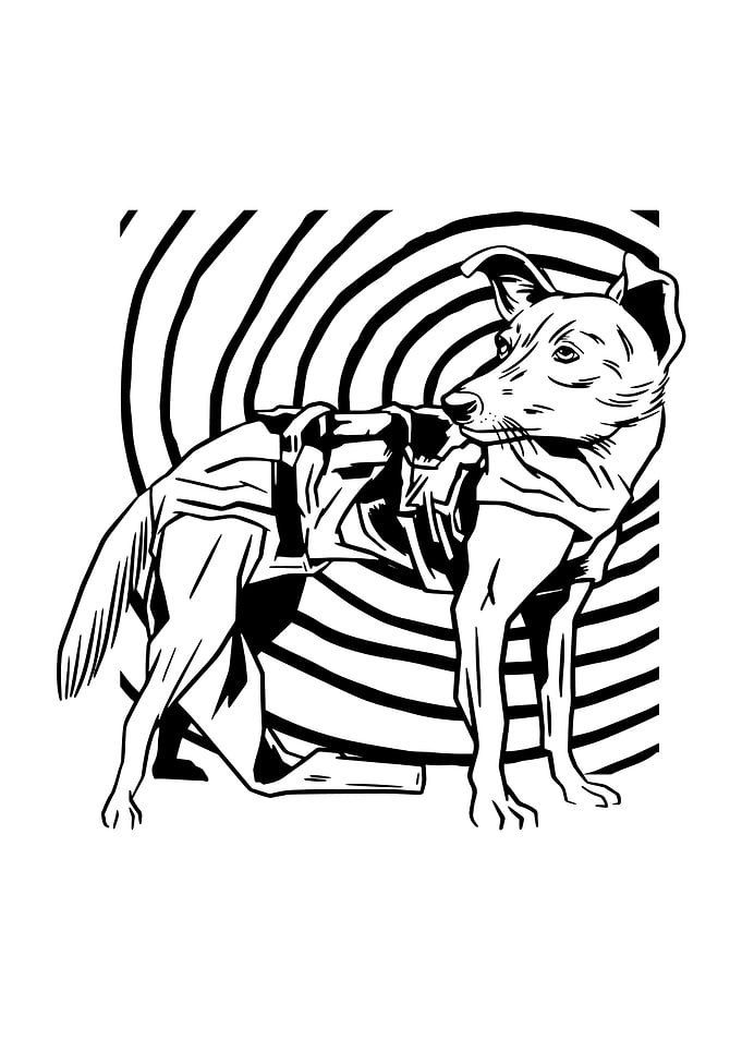 LAIKA SPACE DOG
