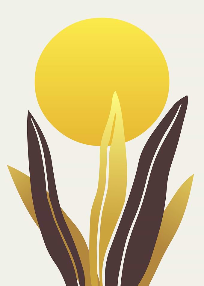 Tropical Leaves