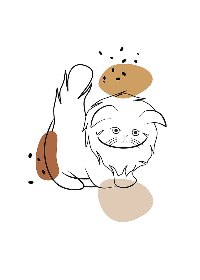 Cute Cat