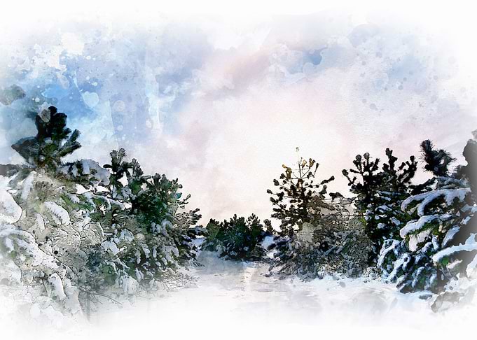 Winter Wonderland