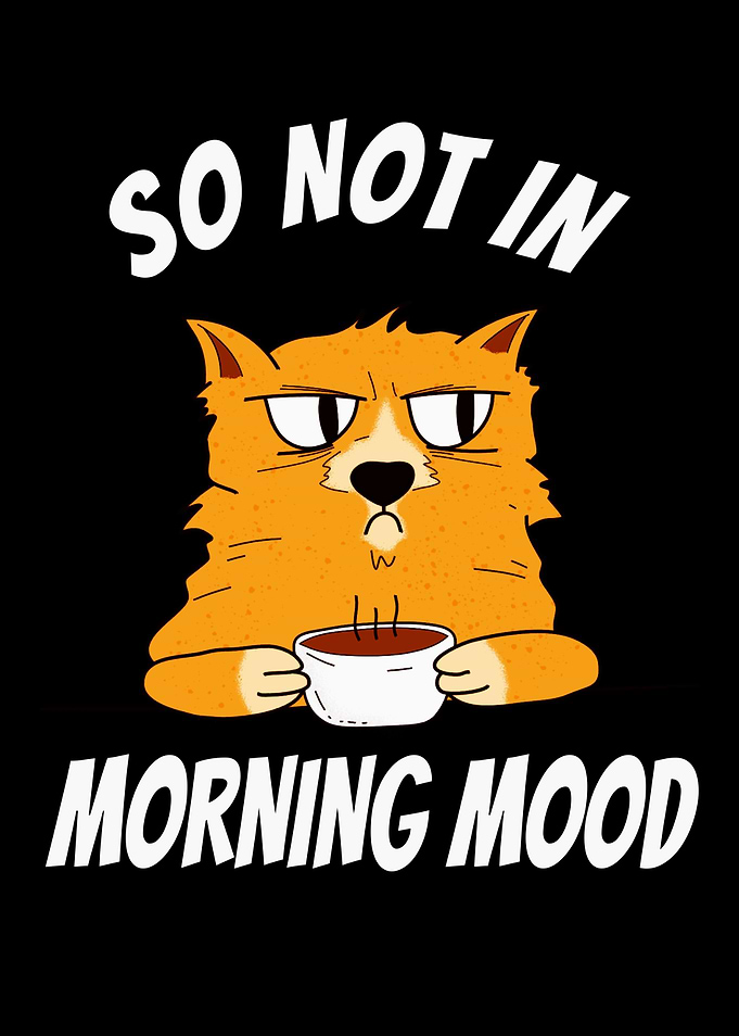 Cat Not In Morning Mood