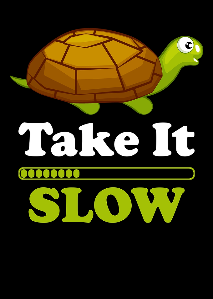 Turtle Funny Saying Slow