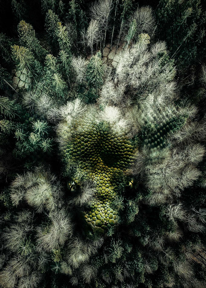 Green Snake