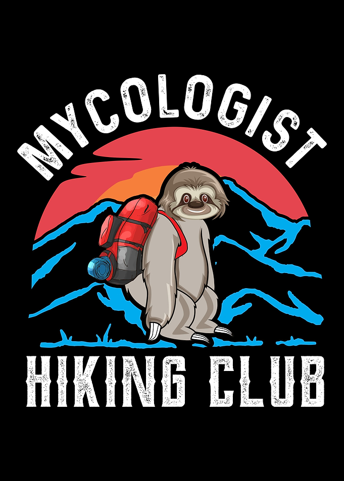 Hiking Camping Mountains
