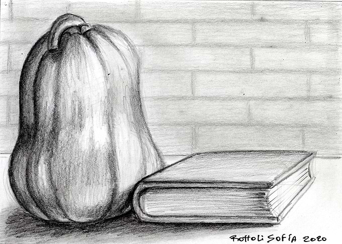 Bodegon libro