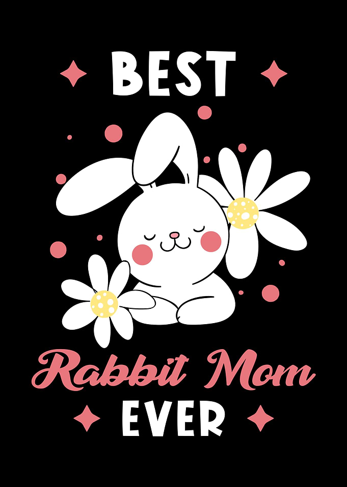 Bunny Gifts Cute Rabbit