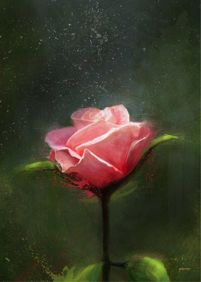 Subtle Beauty
