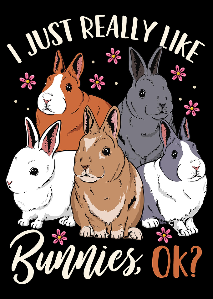 Bunnies Bunny Lover Rabbit