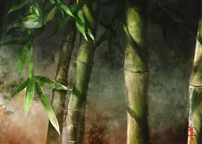 Bamboo