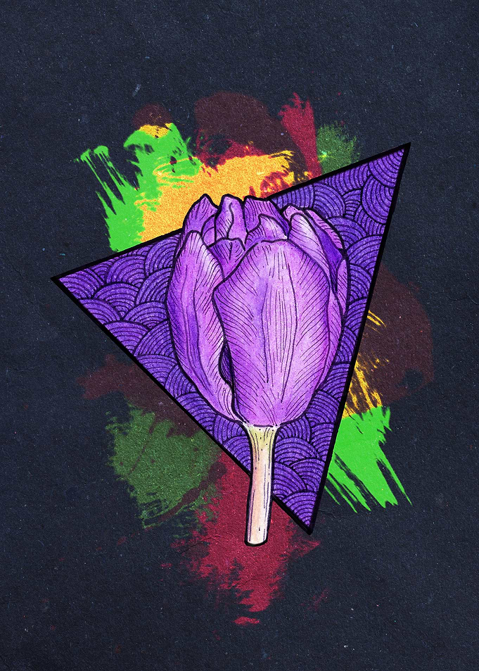Purple Tulip Dark
