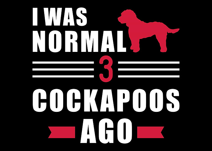 Cockapoo