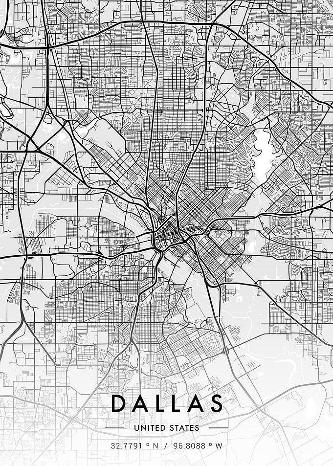 Dallas City Map White
