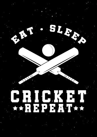 Cricket Fans Wall Decor