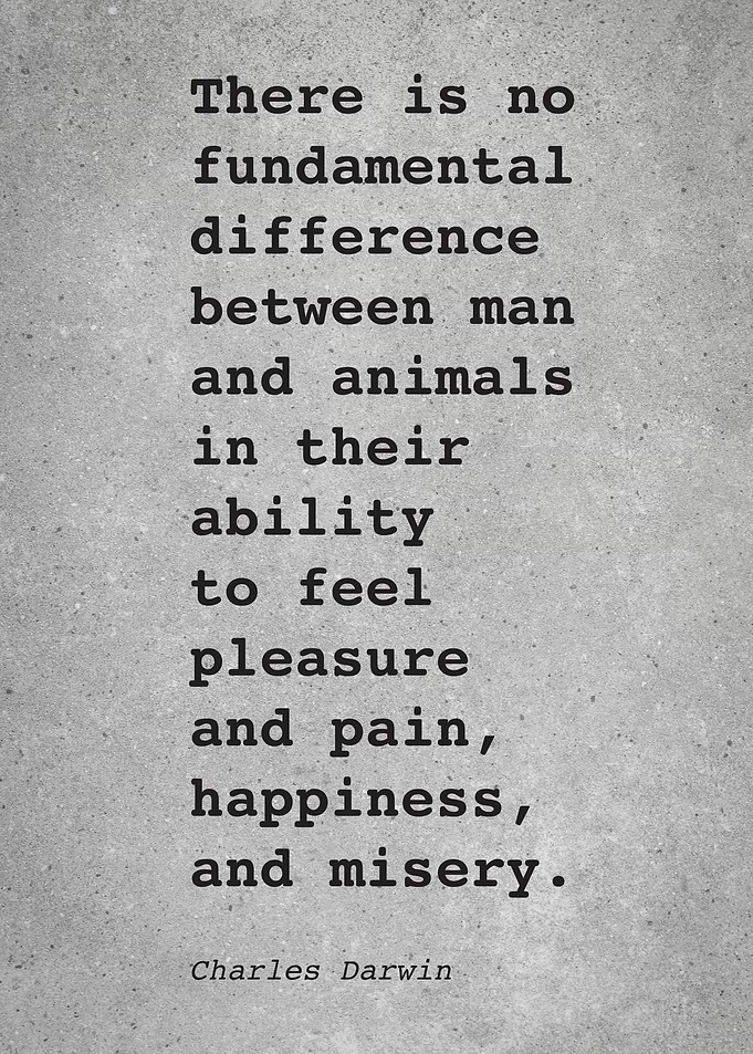 Charles Darwin Quote L016
