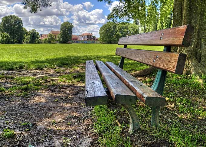 Old bench