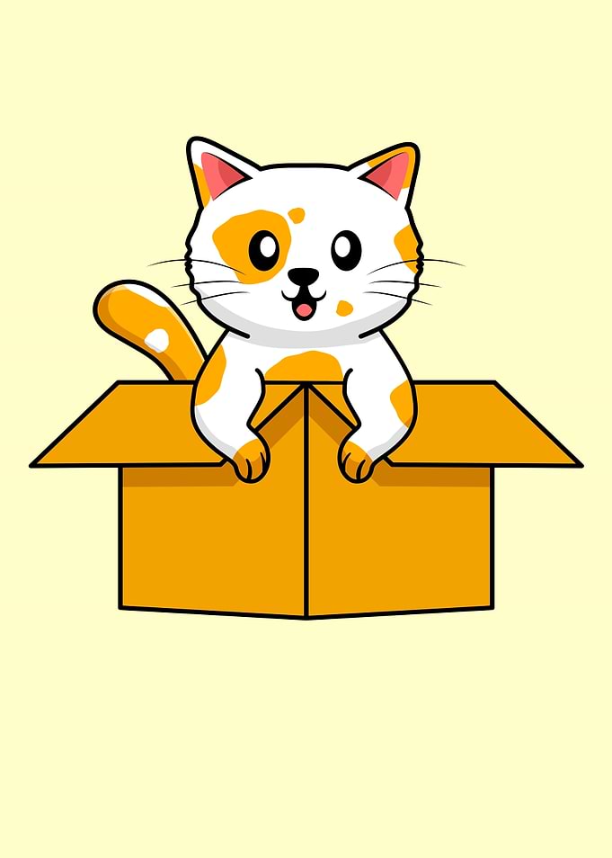Cute Cat In Cardboard Box