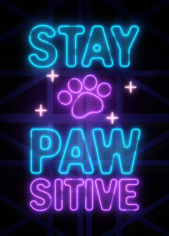Stay Paw Sitive