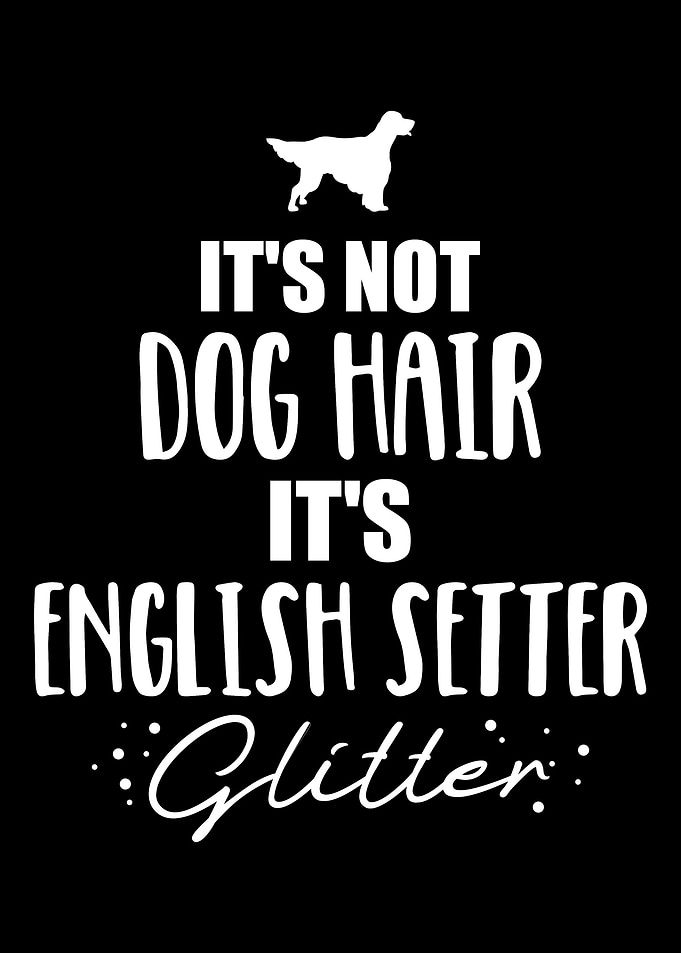 English Setter