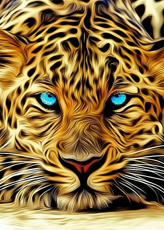 leopard