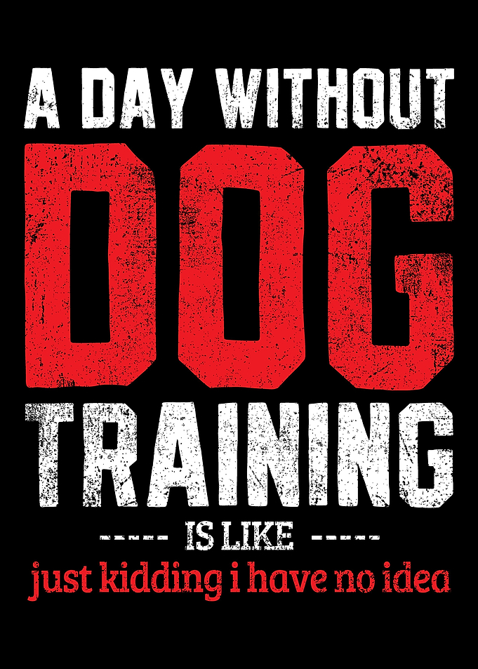 Dog Training Dog Trainer