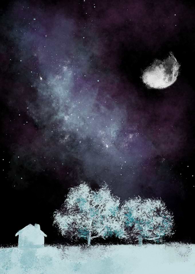 Moonlit Night
