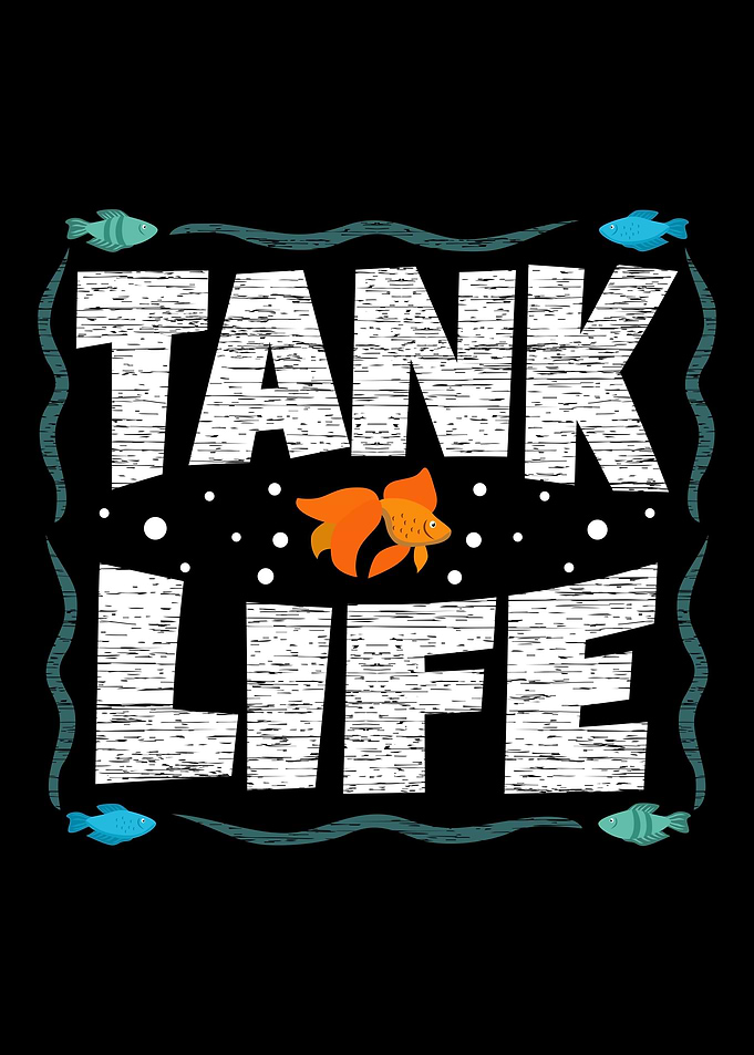 Aquarium Motif Gift Idea