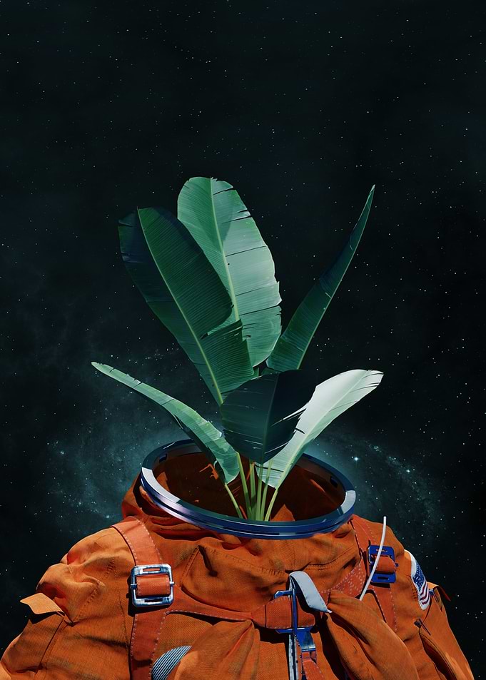 BananaPlantOnaut