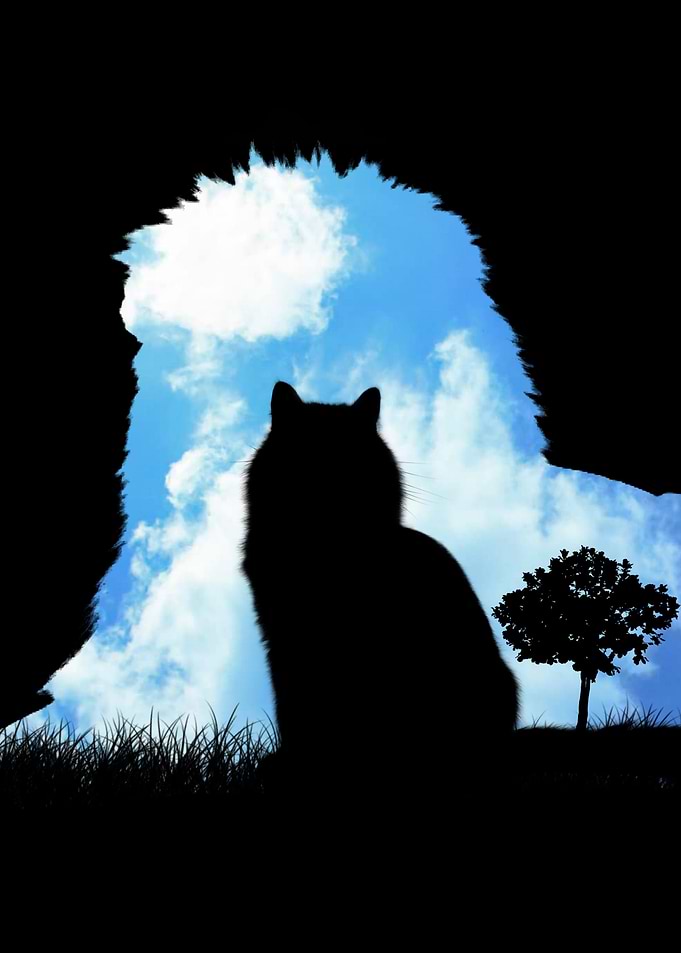 amazing cat art prints