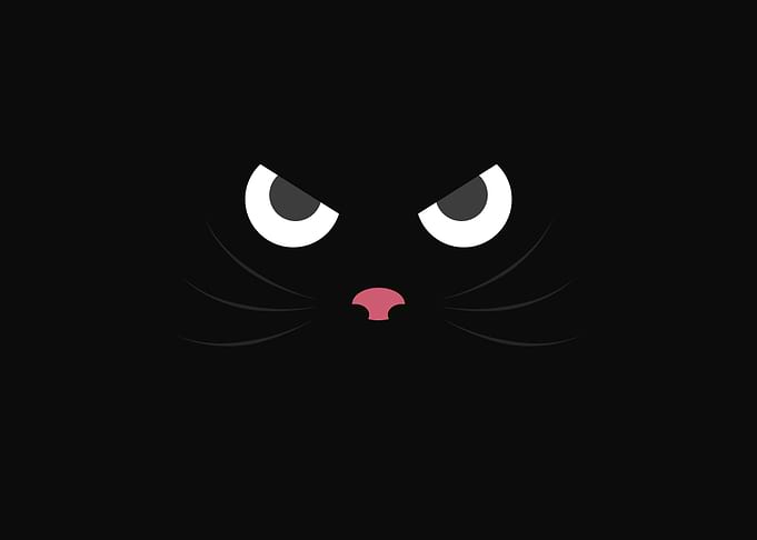 Fierce cat