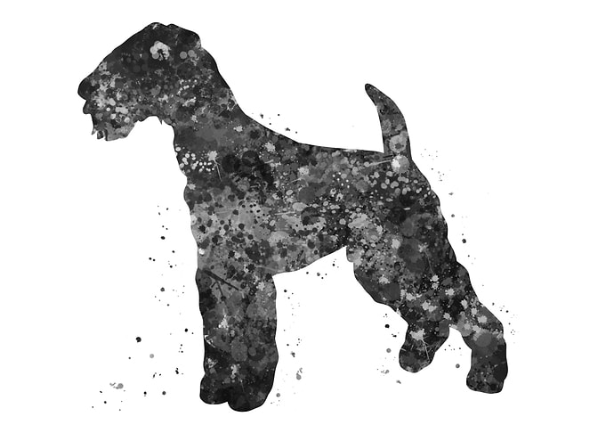 Airedale Terrier