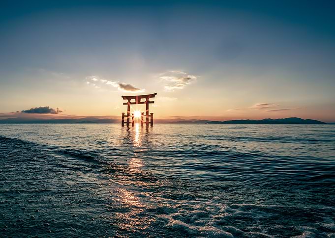 Torii Gate brightly lit up
