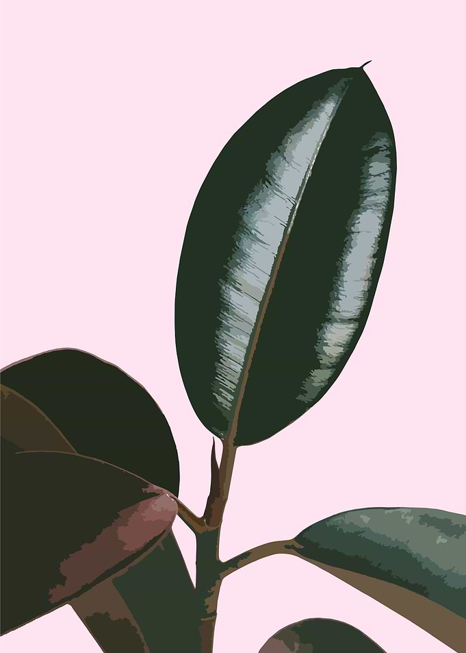 floral tropical